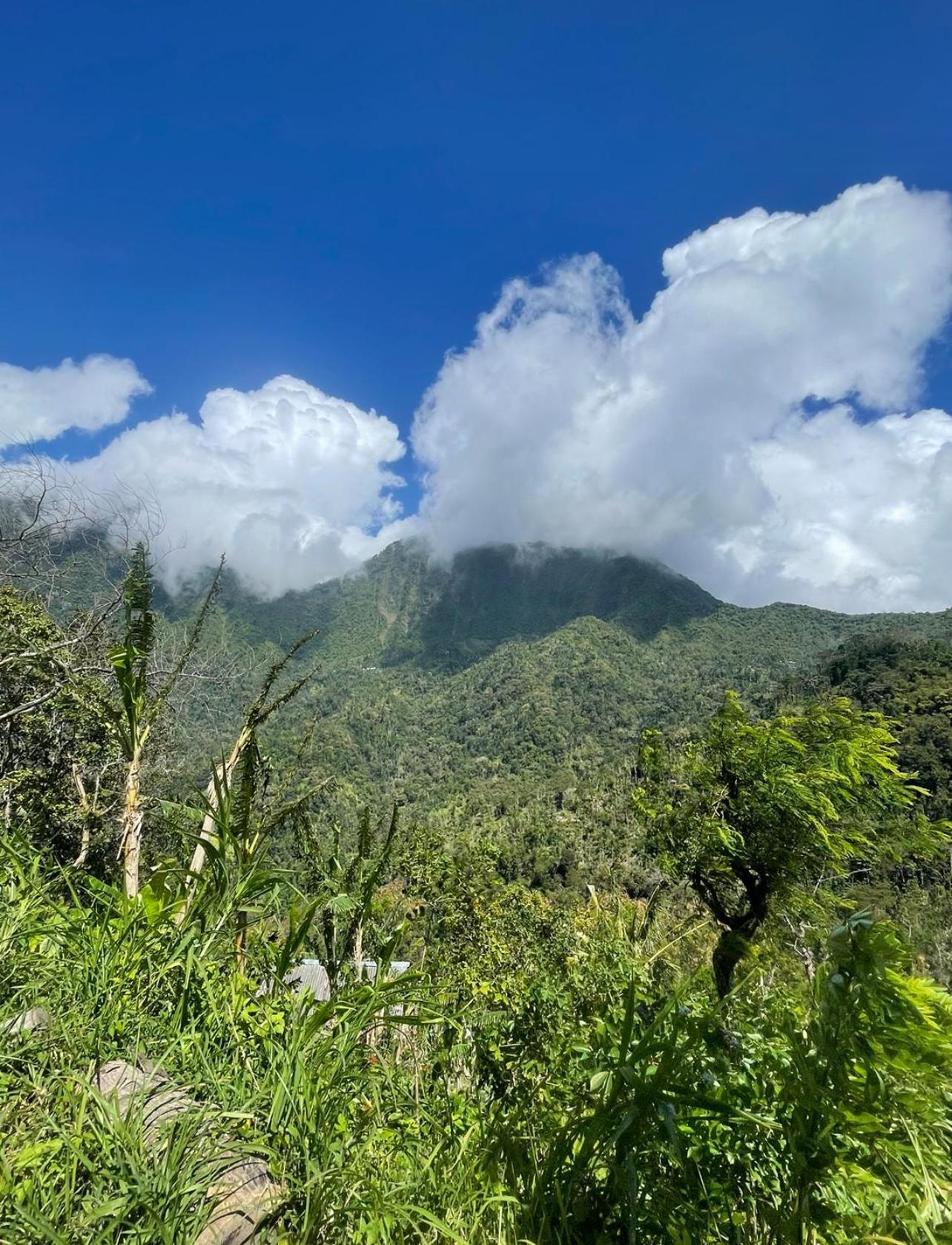 Tropical Habitat Bali Villa Amed  Luaran gambar