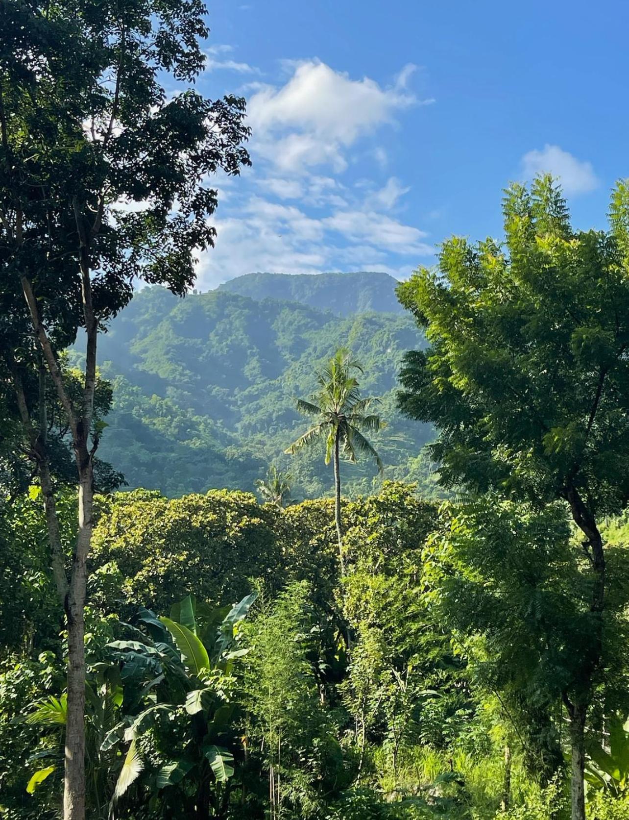 Tropical Habitat Bali Villa Amed  Luaran gambar
