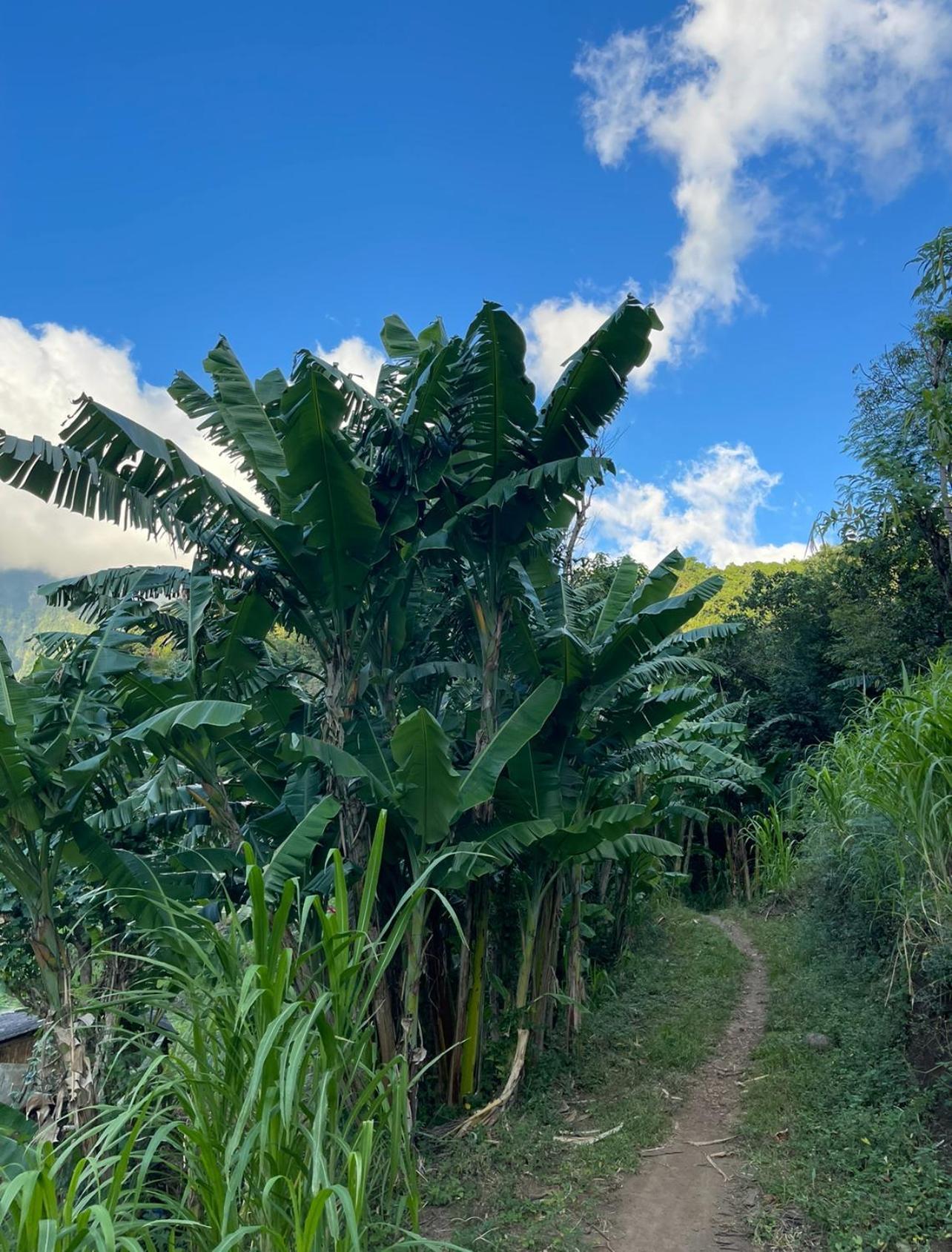 Tropical Habitat Bali Villa Amed  Luaran gambar