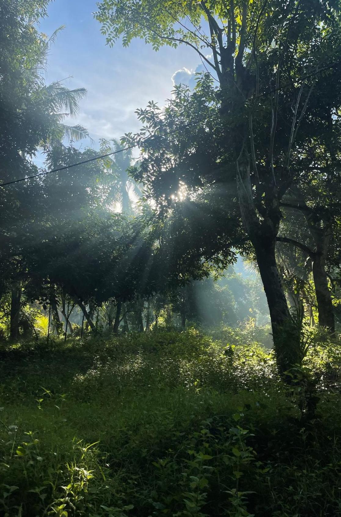 Tropical Habitat Bali Villa Amed  Luaran gambar