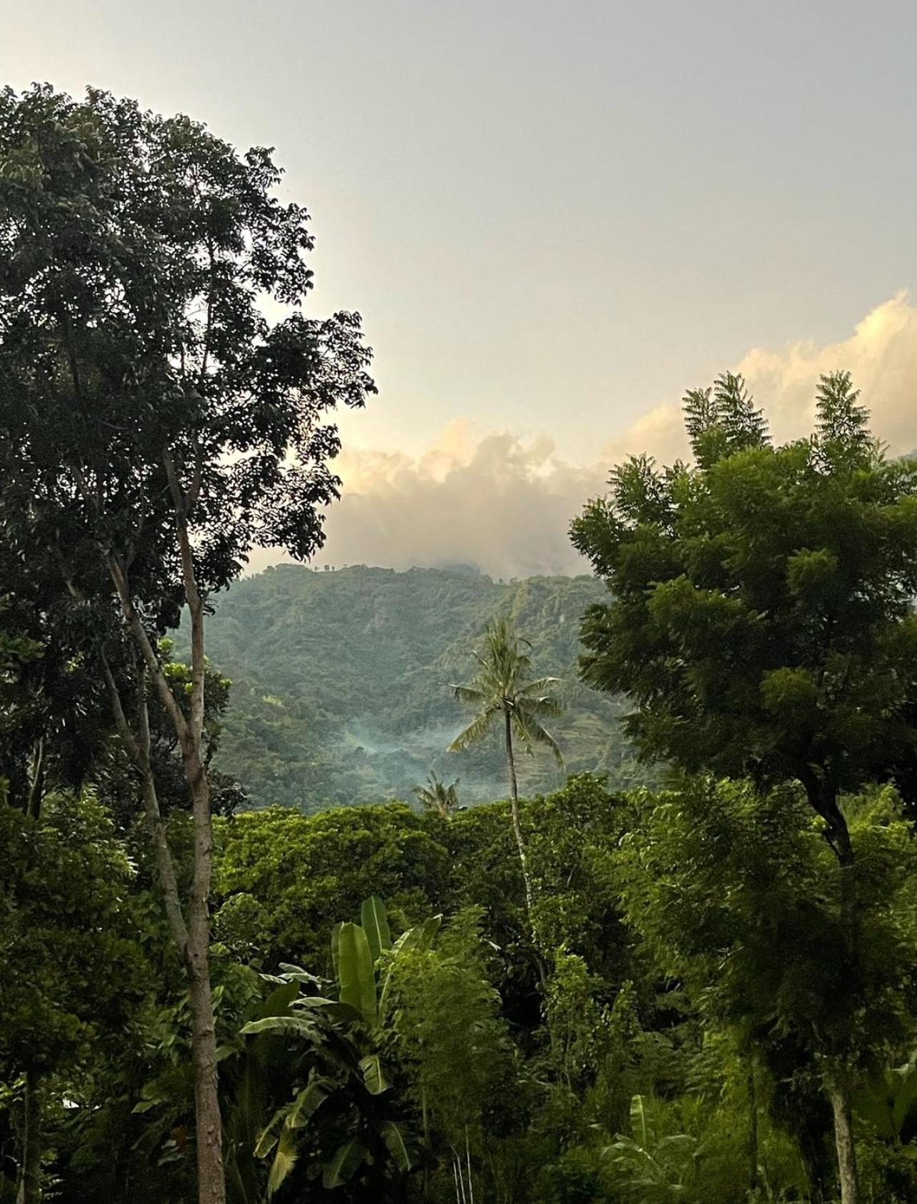 Tropical Habitat Bali Villa Amed  Luaran gambar