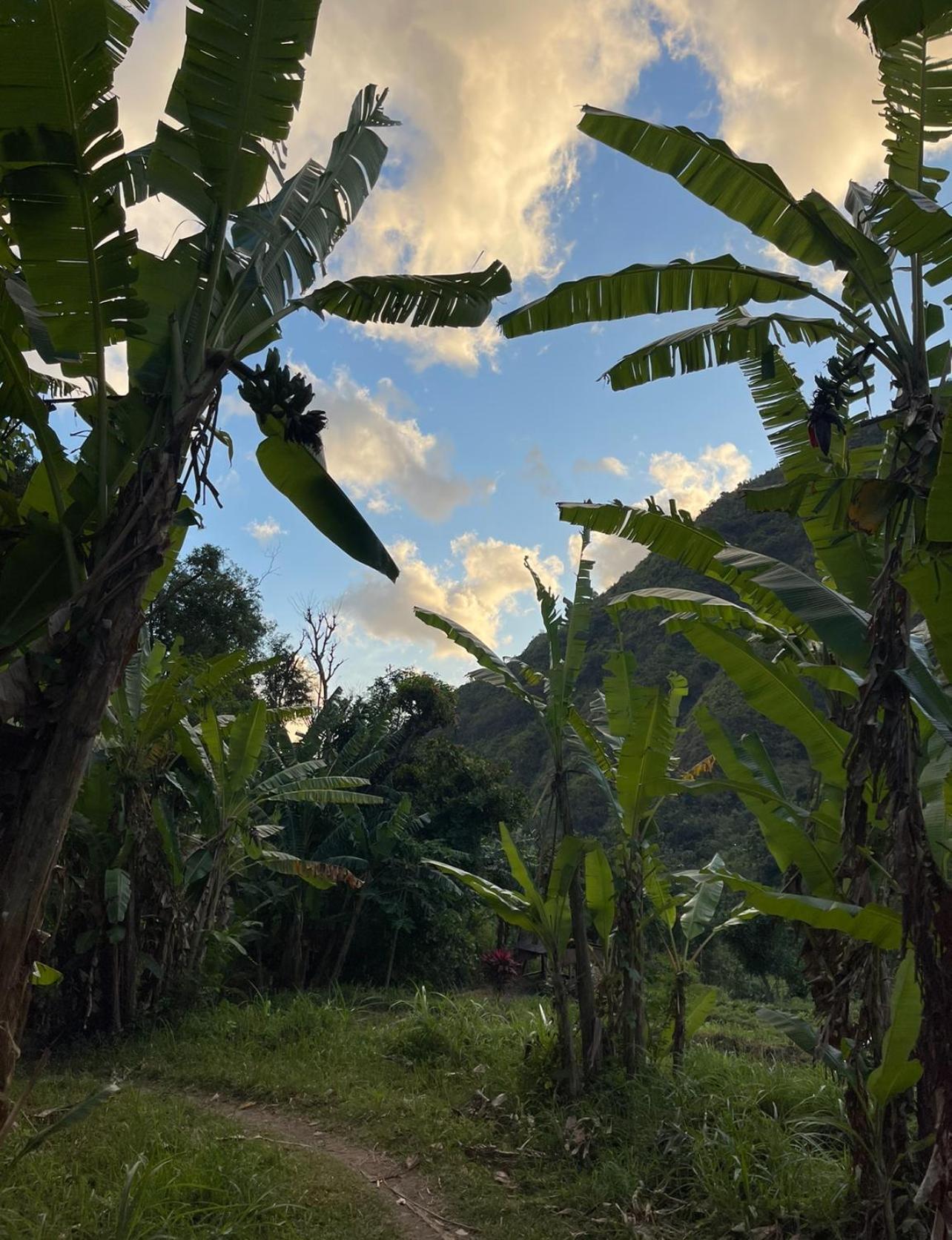 Tropical Habitat Bali Villa Amed  Luaran gambar
