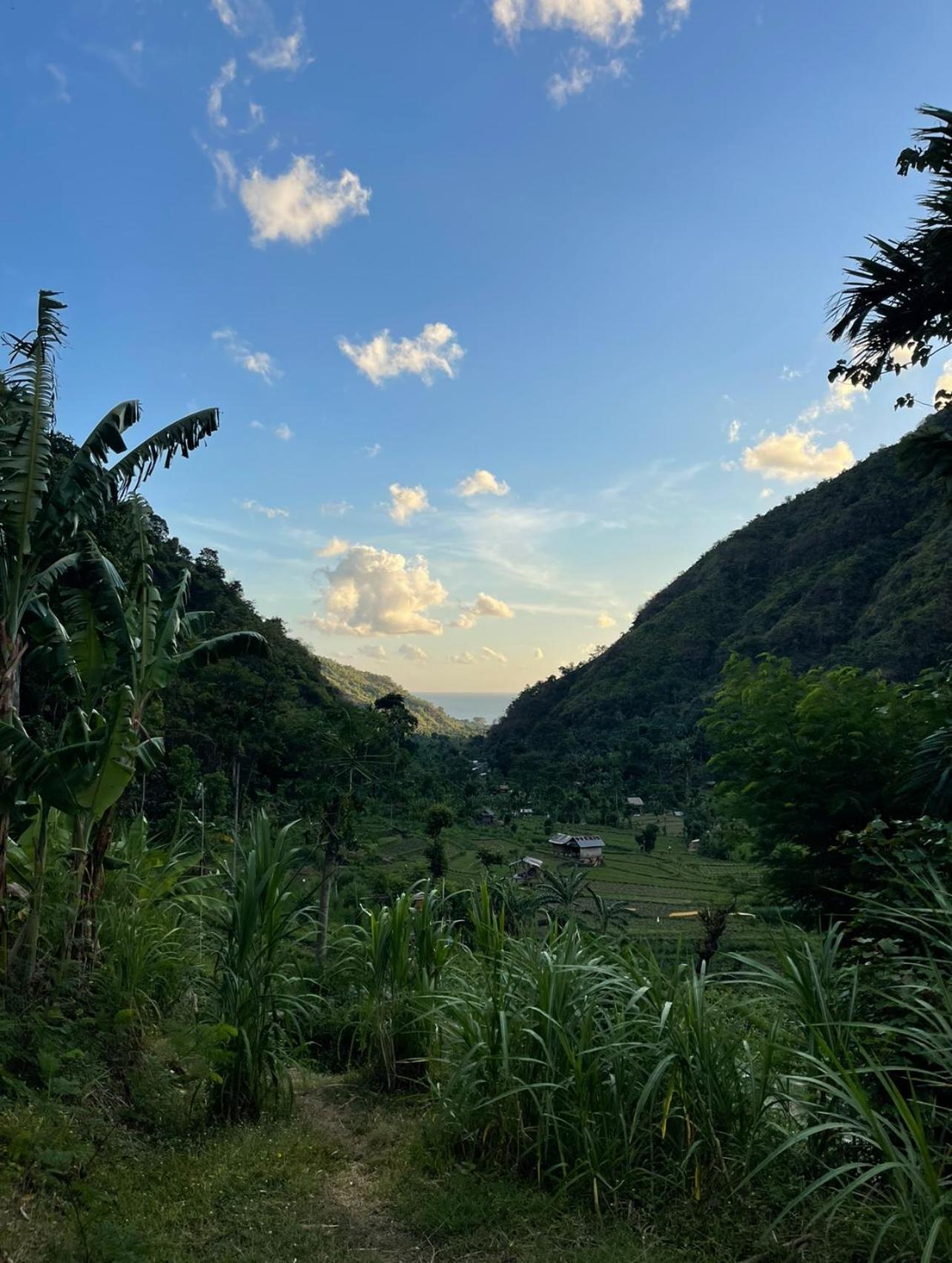 Tropical Habitat Bali Villa Amed  Luaran gambar
