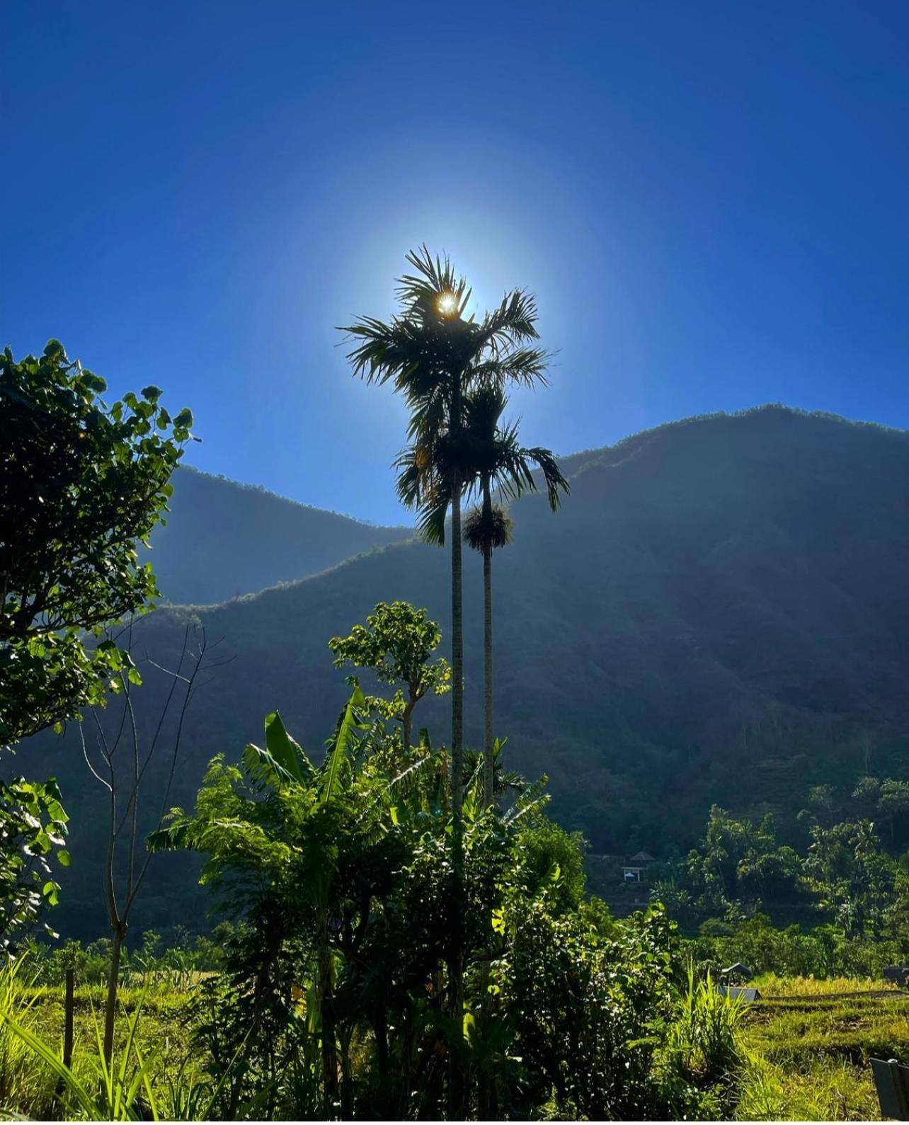 Tropical Habitat Bali Villa Amed  Luaran gambar