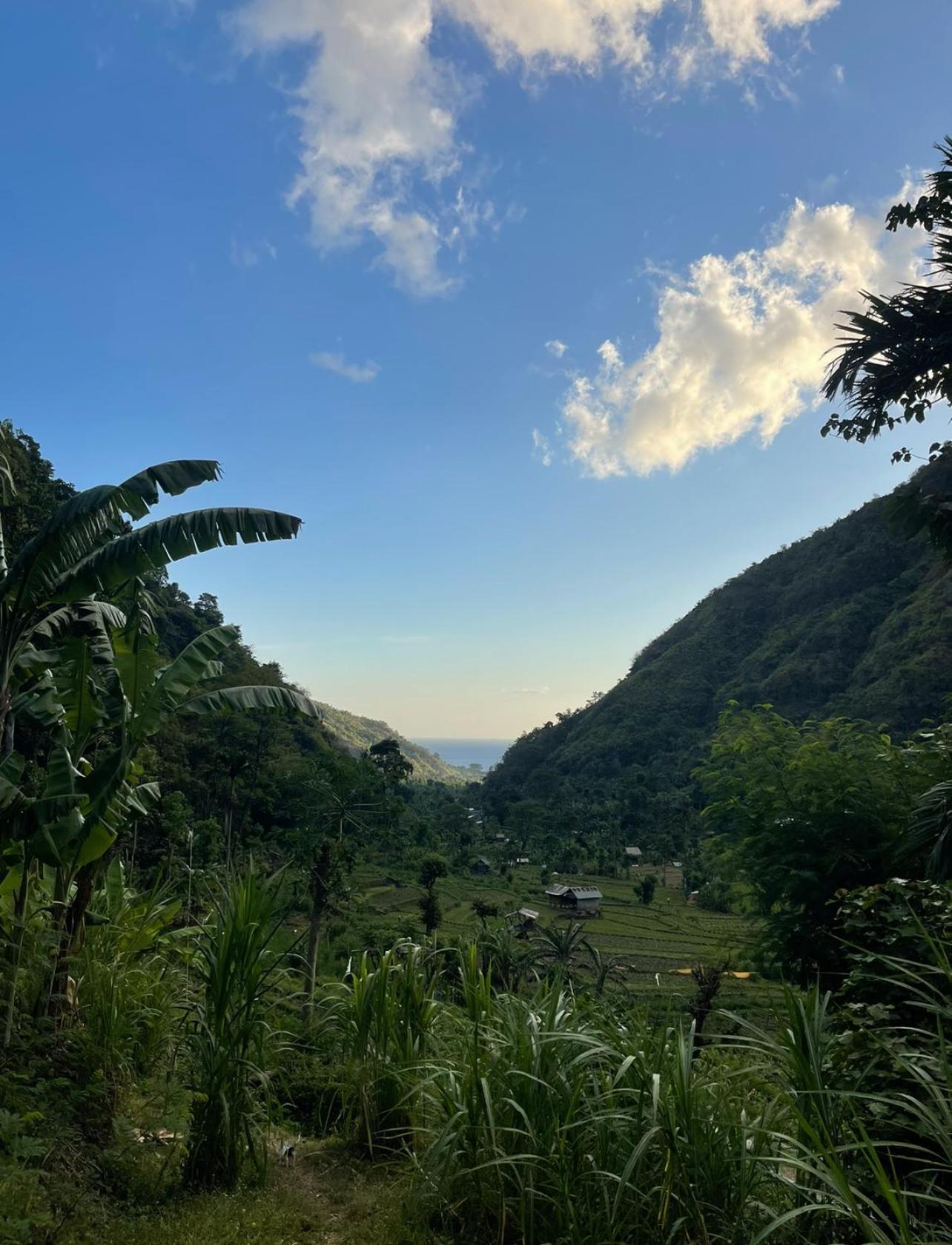 Tropical Habitat Bali Villa Amed  Luaran gambar