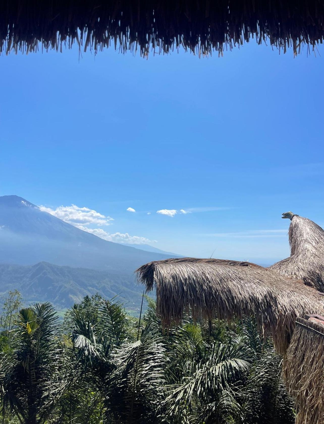 Tropical Habitat Bali Villa Amed  Luaran gambar