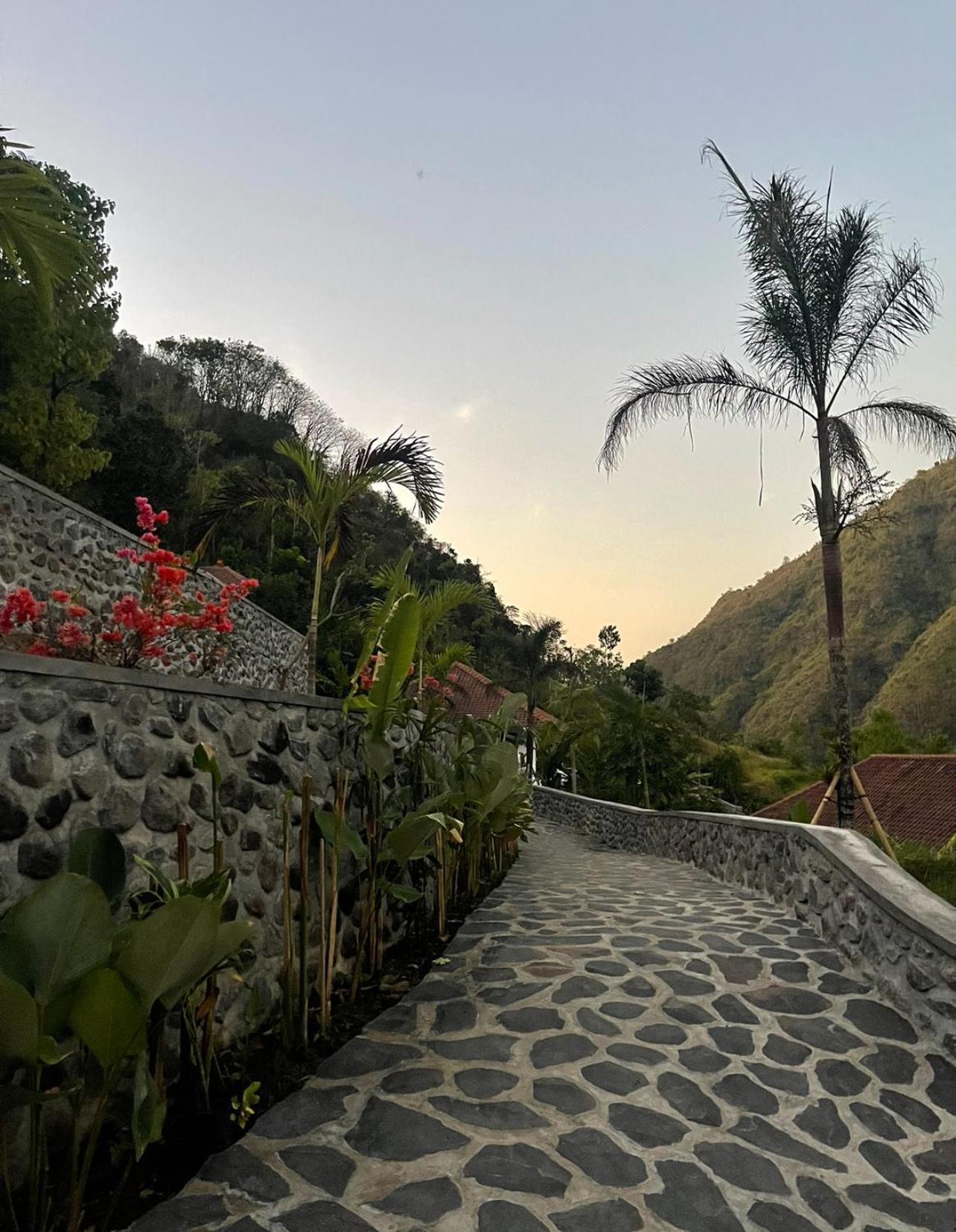 Tropical Habitat Bali Villa Amed  Luaran gambar