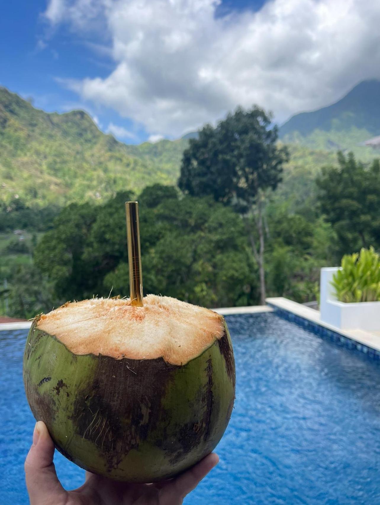 Tropical Habitat Bali Villa Amed  Luaran gambar