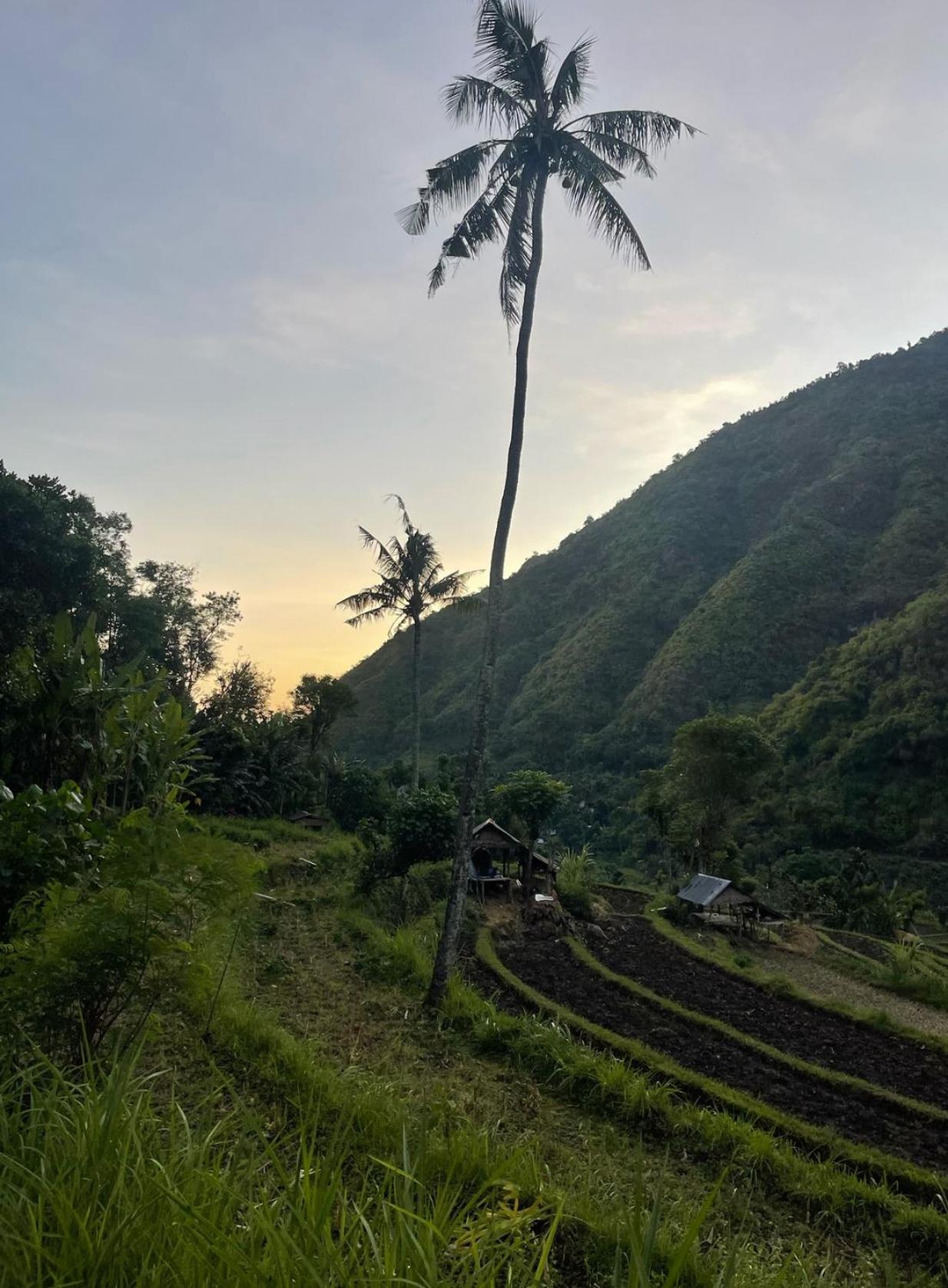 Tropical Habitat Bali Villa Amed  Luaran gambar