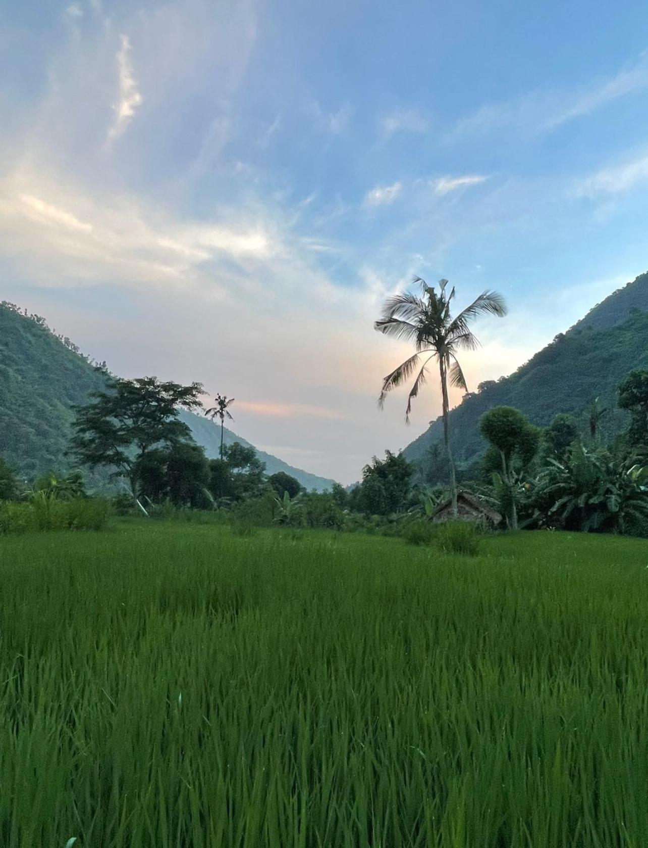 Tropical Habitat Bali Villa Amed  Luaran gambar